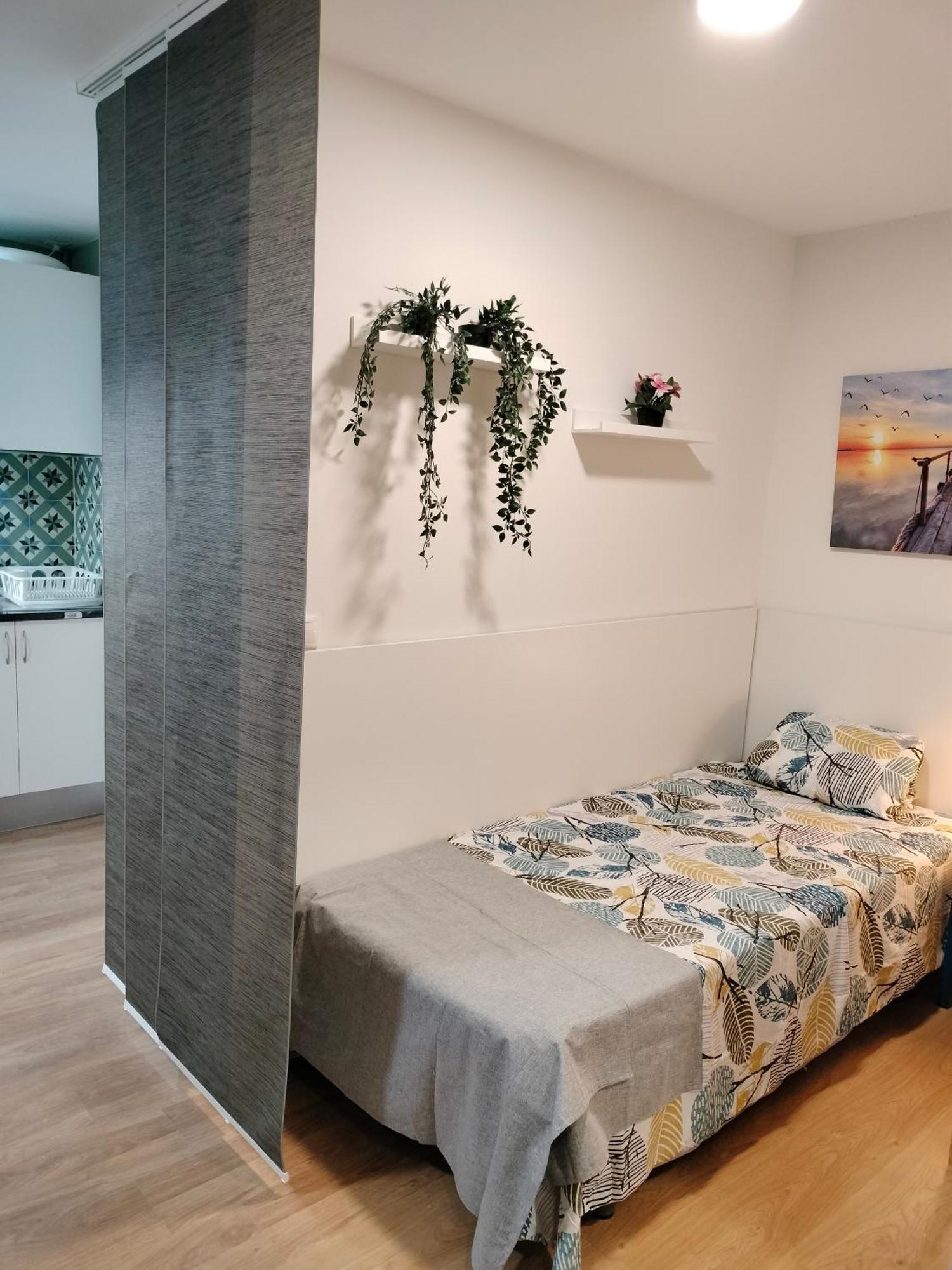 Estudios 55 - - Centrico - Rh * Santander